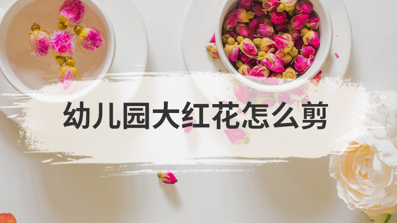 幼儿园大红花怎么剪