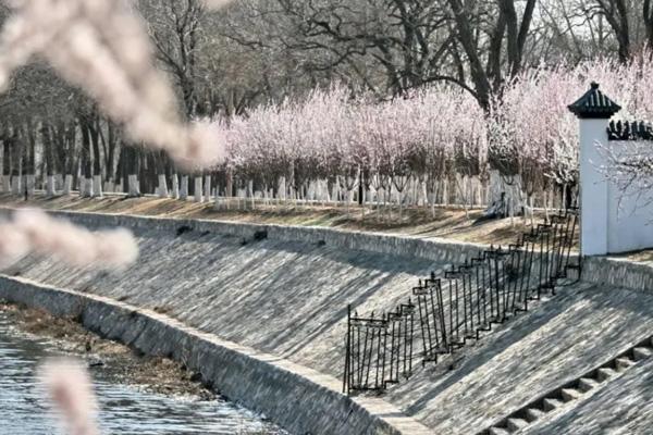 2023天津运河桃花节在哪里举行 附活动时间 2023天津运河桃花节在哪里举行 附活动时间