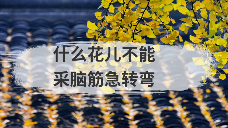 什么样的书最香脑筋急转弯