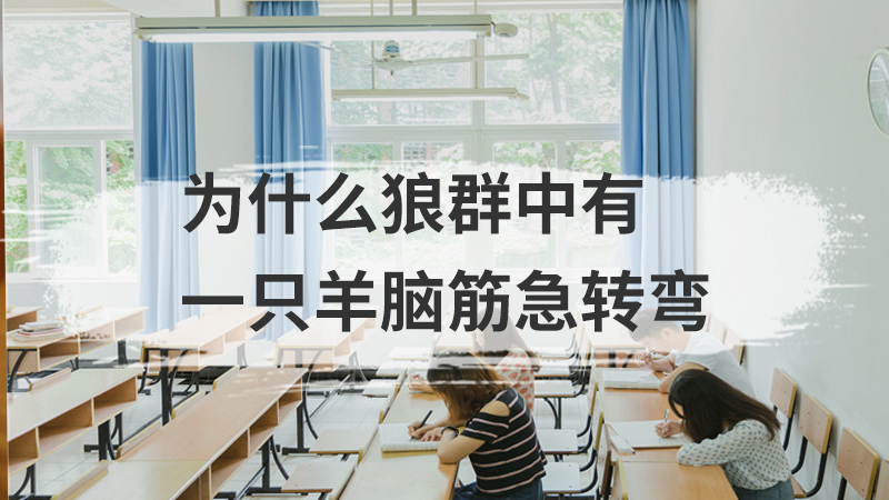 星星多重为什么脑筋急转弯