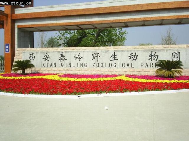 西安周边可以去的地方(西安周边可以玩的地方)