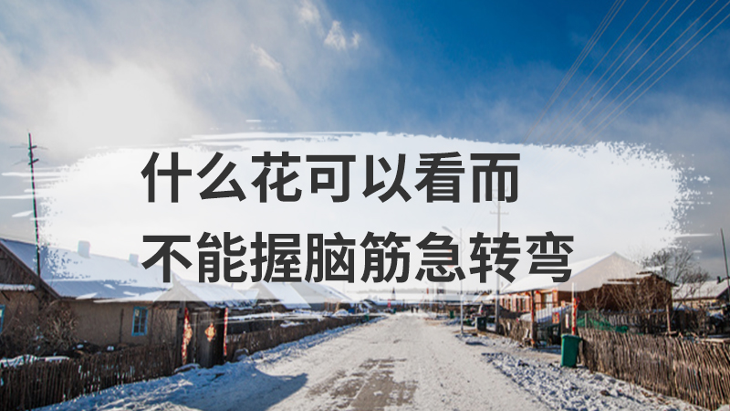 怎样才能使人有心跳的感觉 脑筋急转弯儿