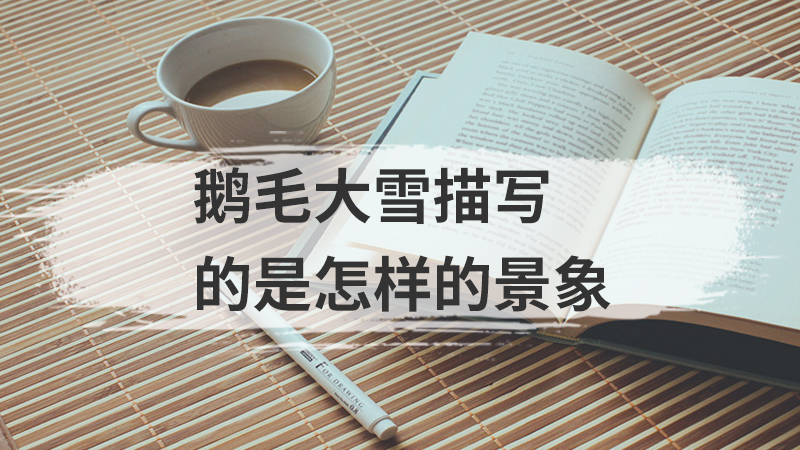 鹤发童颜是描写人物什么的
