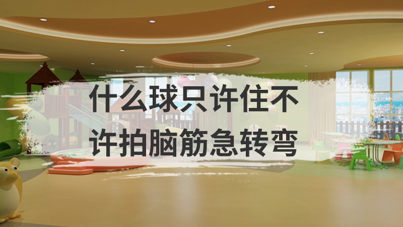 什么球只许住不许拍脑筋急转弯