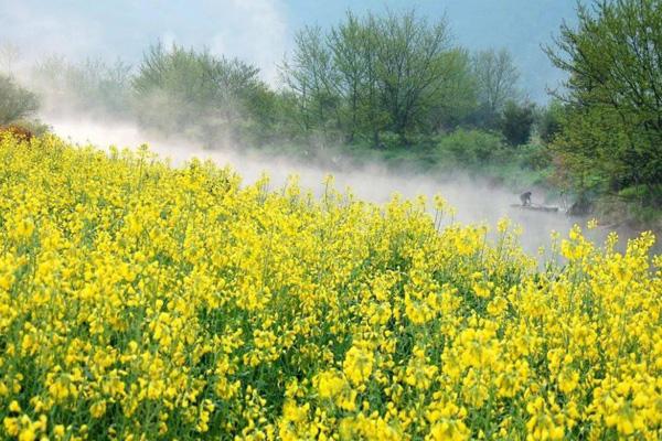 芜湖春天去哪玩 芜湖春季旅游景点推荐 芜湖春天去哪玩 芜湖春季旅游景点推荐