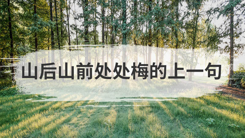 幼儿园语言活动形式有哪些