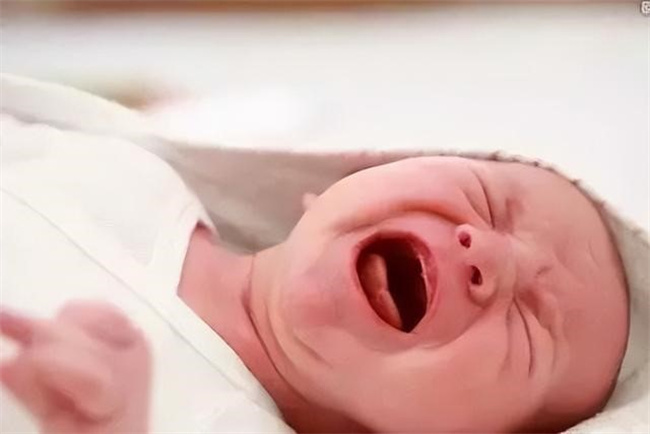 幼儿园最后一年该从哪些方面着手准备好呢