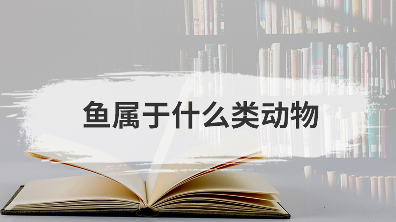 甲骨文是什么时期的文字
