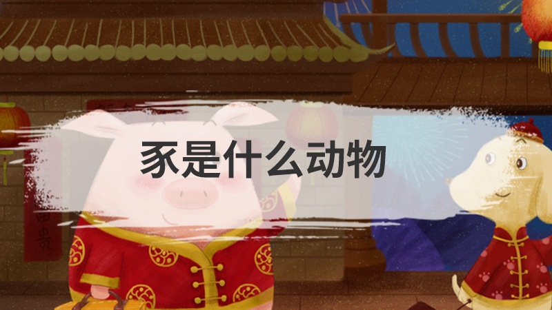澳大利亚的国宝是什么动物