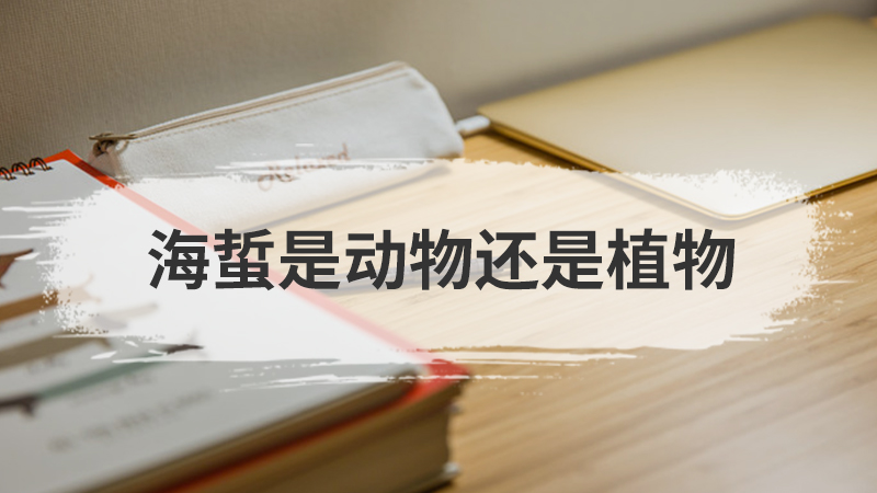 鱼属于什么类动物