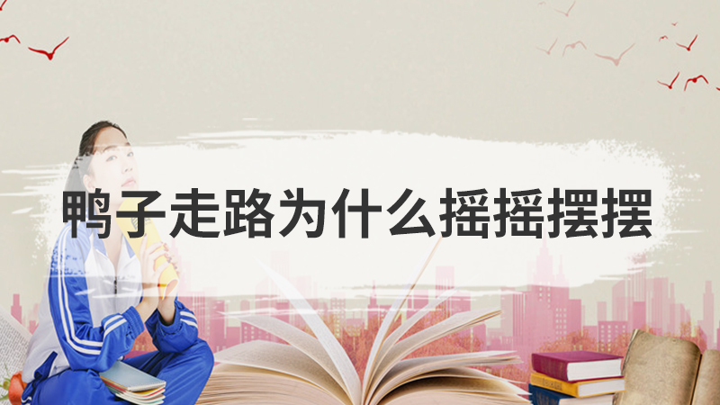 为什么没有黑色的花