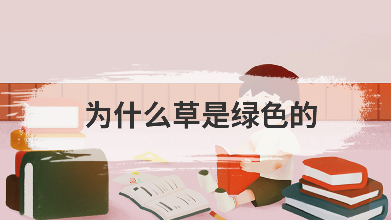 牛为什么被称为反刍动物