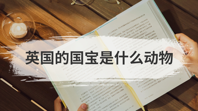 会飞的哺乳动物