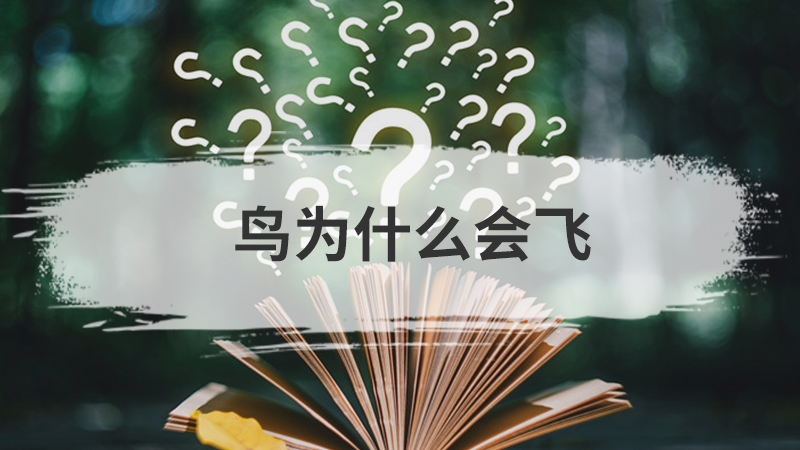 鸭子走路为什么摇摇摆摆