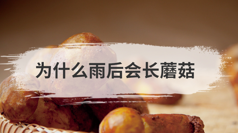 为什么水星上没有水