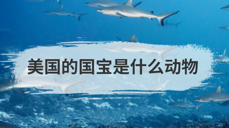 英国的国宝是什么动物