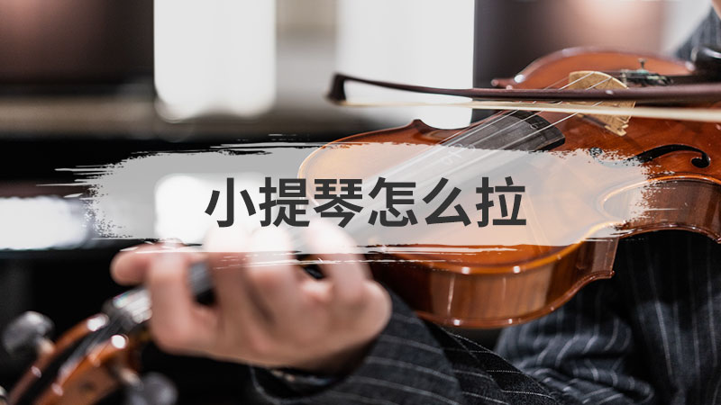 小提琴有几根弦