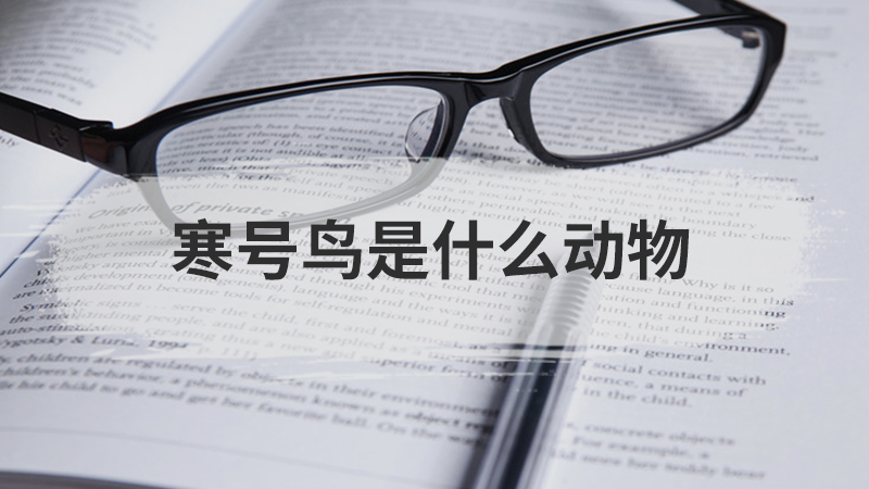 刘禹锡被称为什么