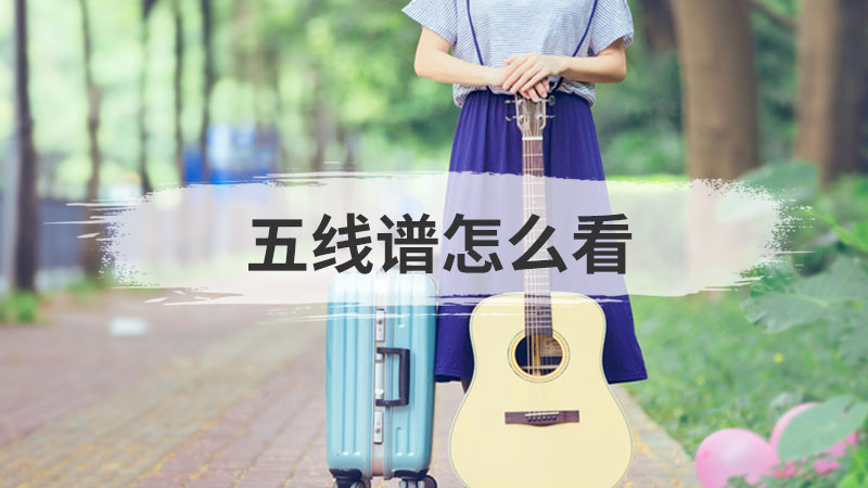 中班幼儿年龄特点