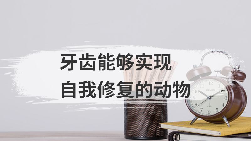 牙齿能够实现自我修复的动物