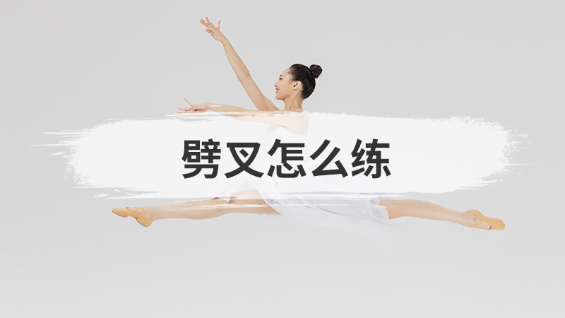 皮亚杰的认知发展理论