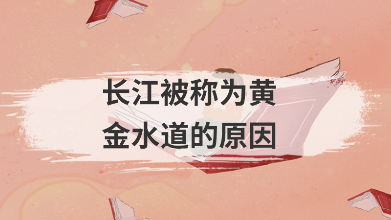 被称为泉城的城市是
