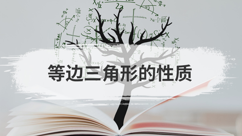 分式的基本性质