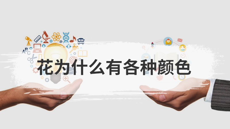 鸟为什么会飞