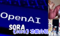 《sora》功能介绍