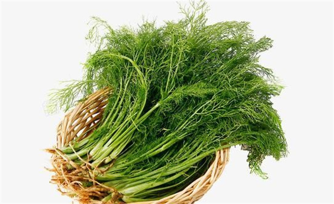 茼蒿菜的作用与功效食用禁忌