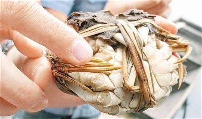 新疆玻璃脆葡萄好不好吃