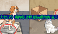 《脑力侦探》猫狗报恩照顾猫猫狗狗通关攻略