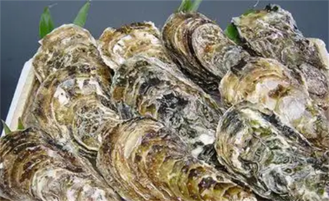 香菜这几种人吃却是没病找病