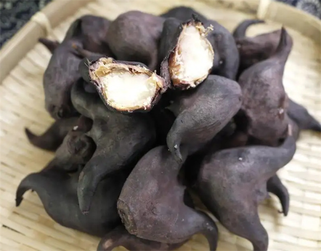 关于冷藏冷冻面团的小知识