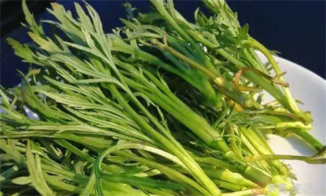 菱角晚上吃好多消化吗