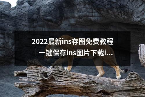 2022最新ins存图免费教程｜一键保存ins图片下载ins视频