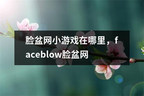 脸盆网小游戏在哪里，faceblow脸盆网