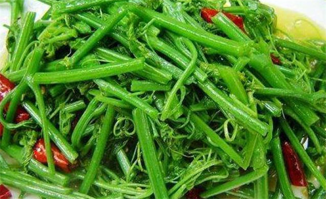 大白菜功效及家常吃法