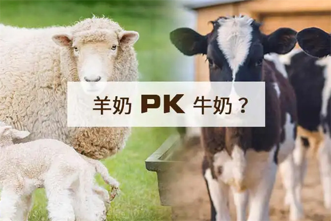 吃菠萝为什么放盐水泡呢