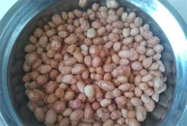 红烧肥肠怎么做更好吃