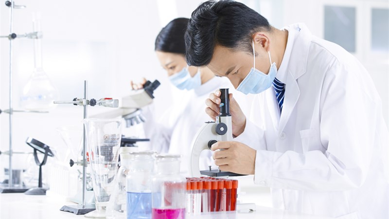 克隆技术属于基因工程吗