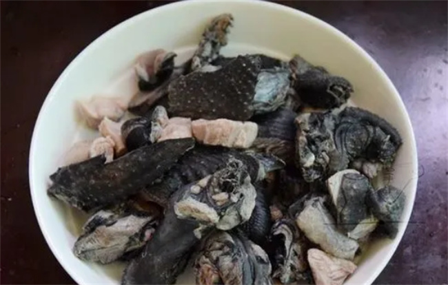 什么茶有养胃的作用