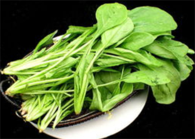 乌龙茶是什么类型的茶