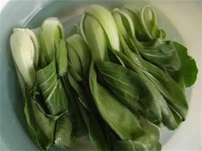 炒青菜和水煮青菜哪种更健康