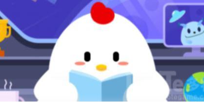 排球的起源及演变
