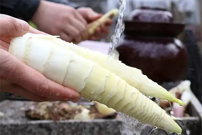 干面筋应该用热水泡吗