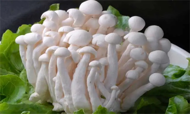 橘子的营养价值有哪些