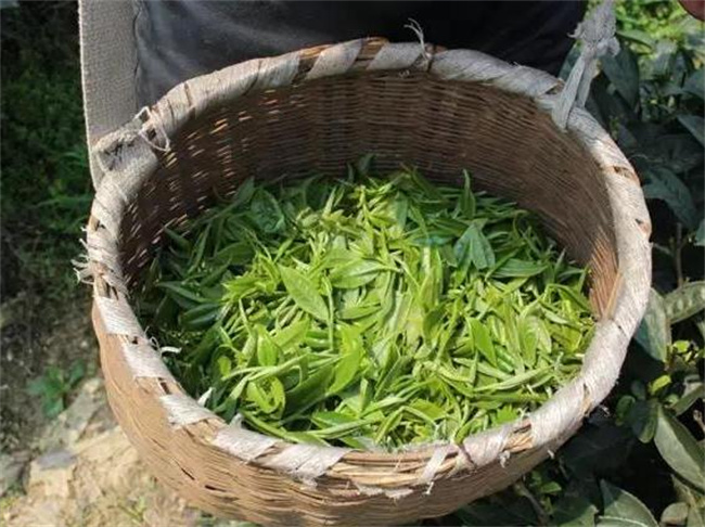 云南有哪些特色小吃 云南特产