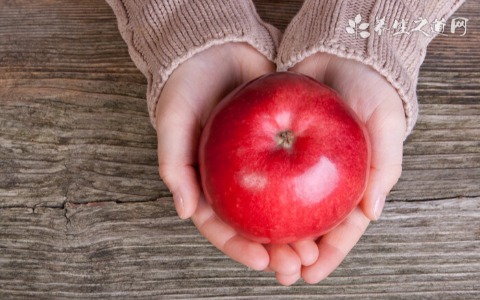 夏季吃什么护肝养肝