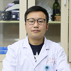 <a href='/search.php?searchword=%E8%83%A1%E8%BF%9B'>胡进</a>&nbsp;&nbsp;